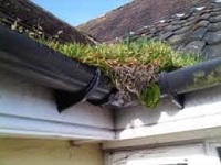 Gutters cleaned, repaired, fitted or adjusted