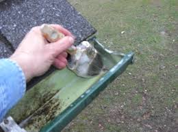 Mending a leaking gutter in Manchester